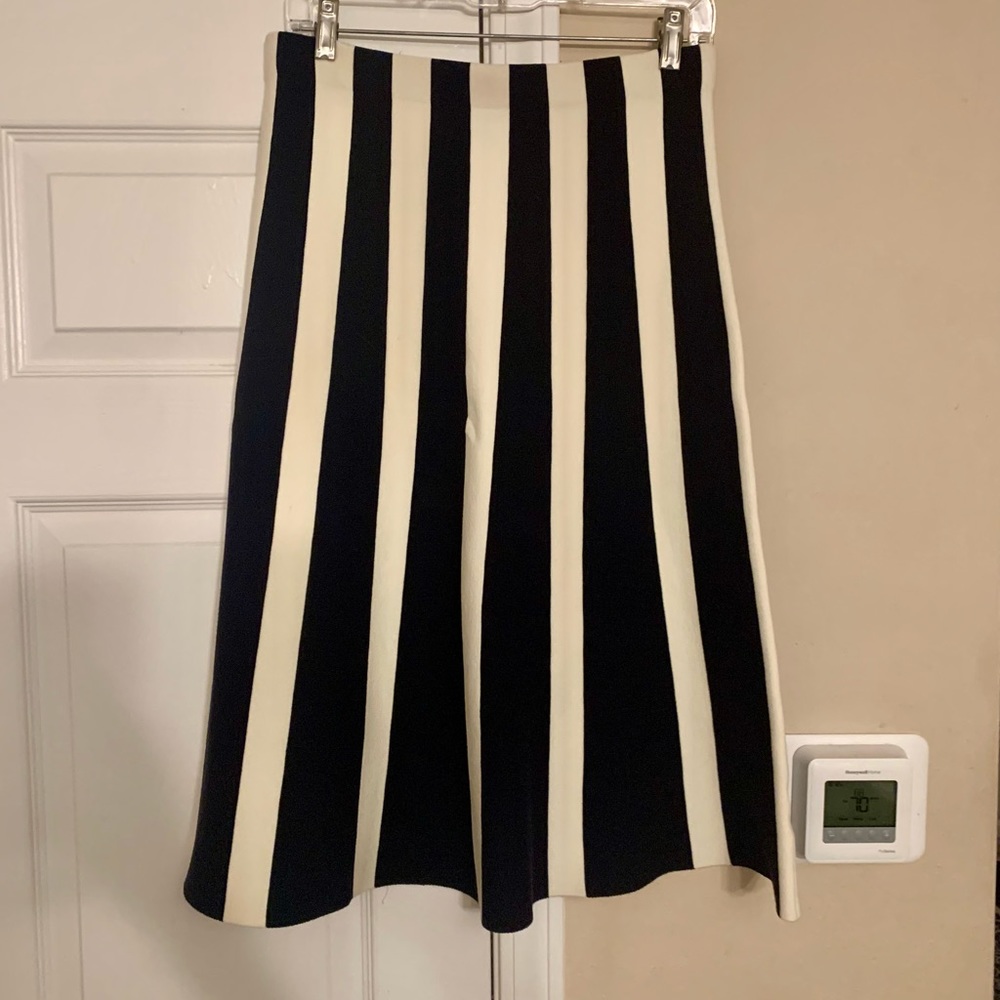 Women’s Ann Taylor size M skirt